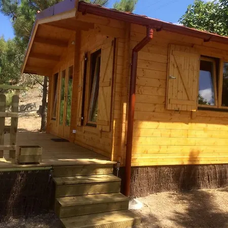 Летний дом Wood