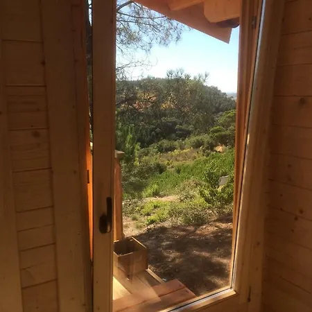 Wood * Эрисейра